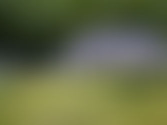 Kommt für alle die Solar-Pflicht?  