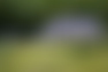 Kommt für alle die Solar-Pflicht?  